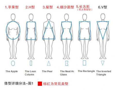 體型分析